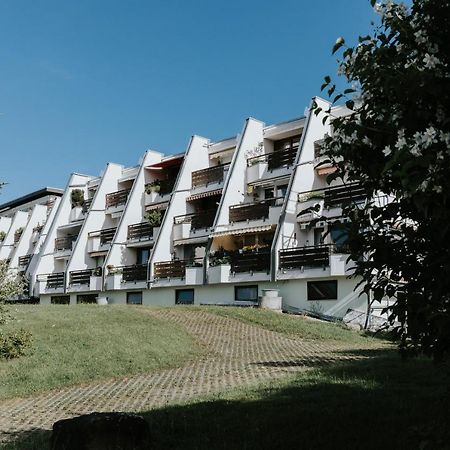 Rosenalm Scheidegg Apartman Kültér fotó